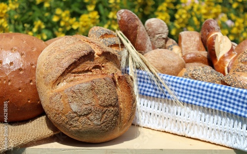 brot im garten photo