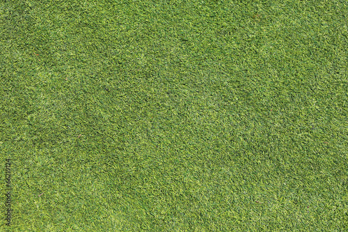 green grass turf texture background