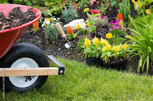 Slika na platnu Wheelbarrow alongside a newly planted flowerbed