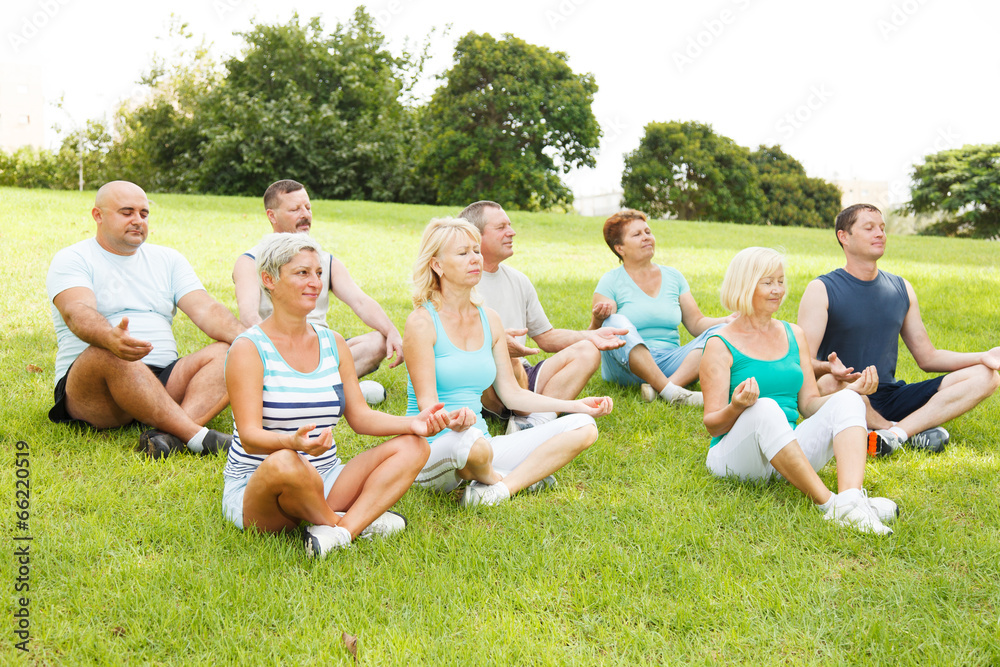 Fototapeta premium Group of People practicing yoga
