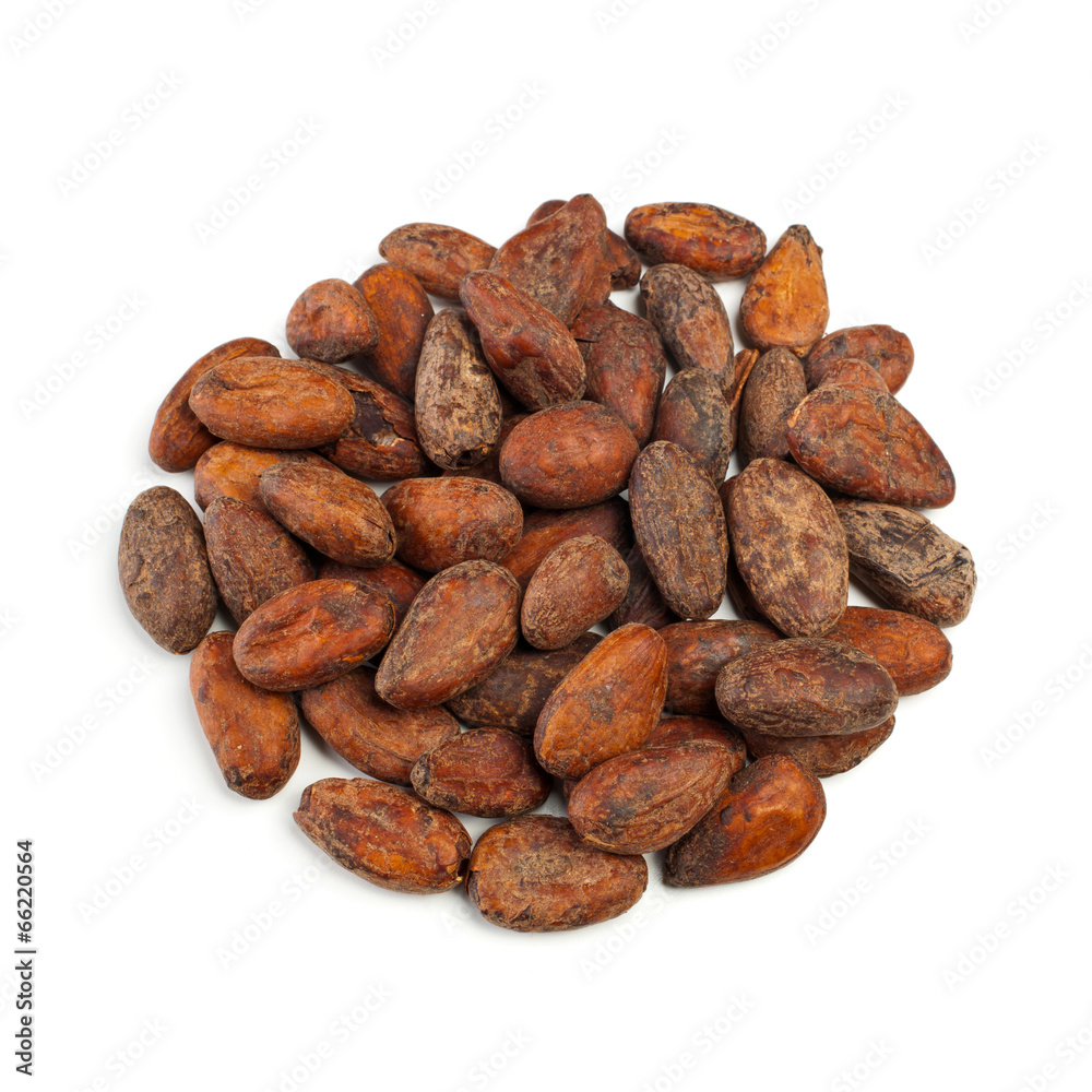 Cocoa beans Cocoa beans
