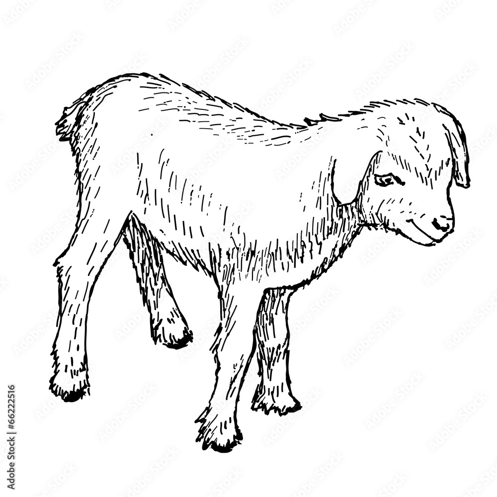 goatling