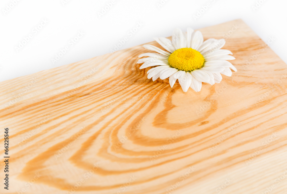Obraz premium Wooden board and camomile