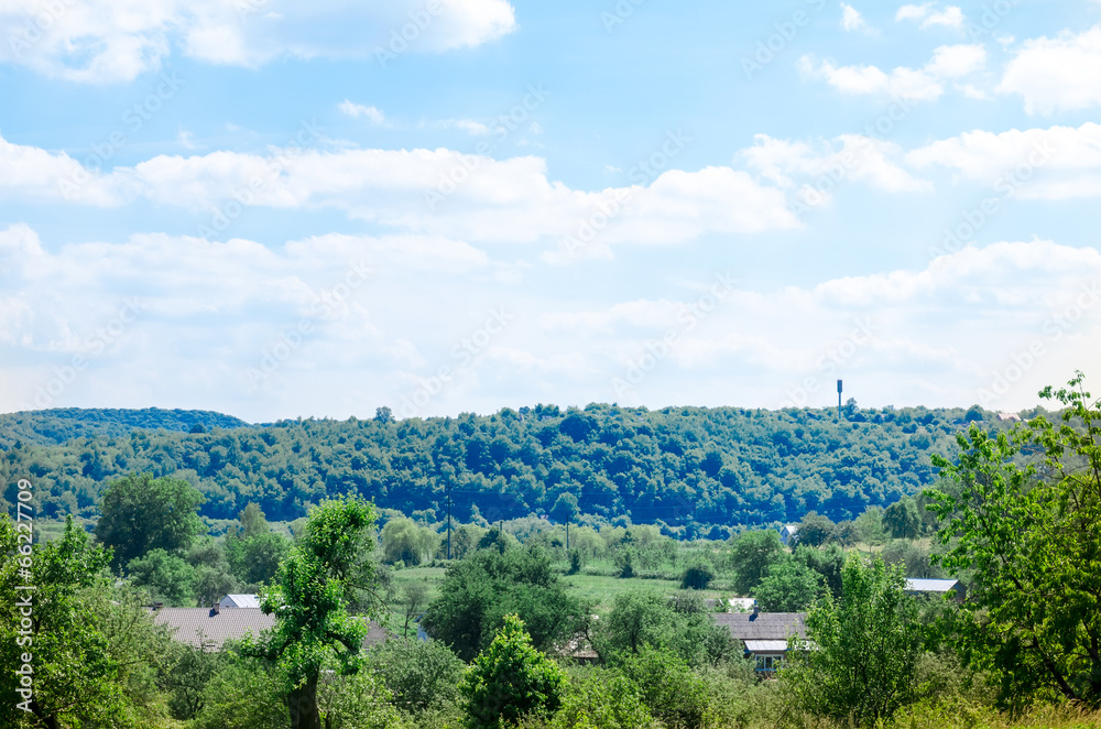 Naklejka premium the village against the wood