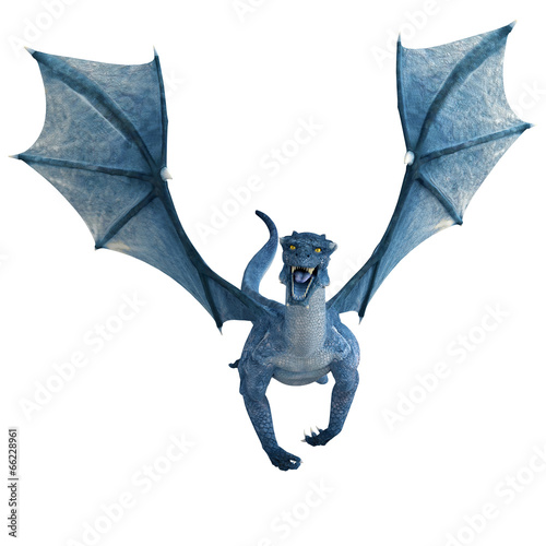 blue dragon flying front view