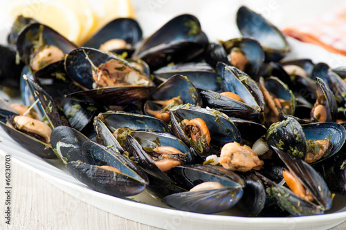 Cozze alla marinara photo