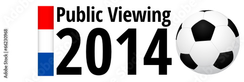 Public Viewing 2014