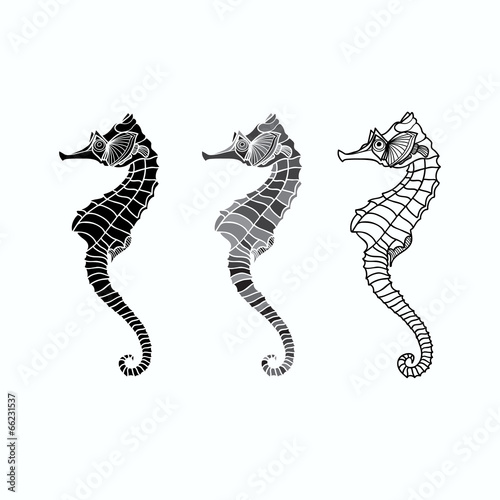 Vector set of seahorse on a white background