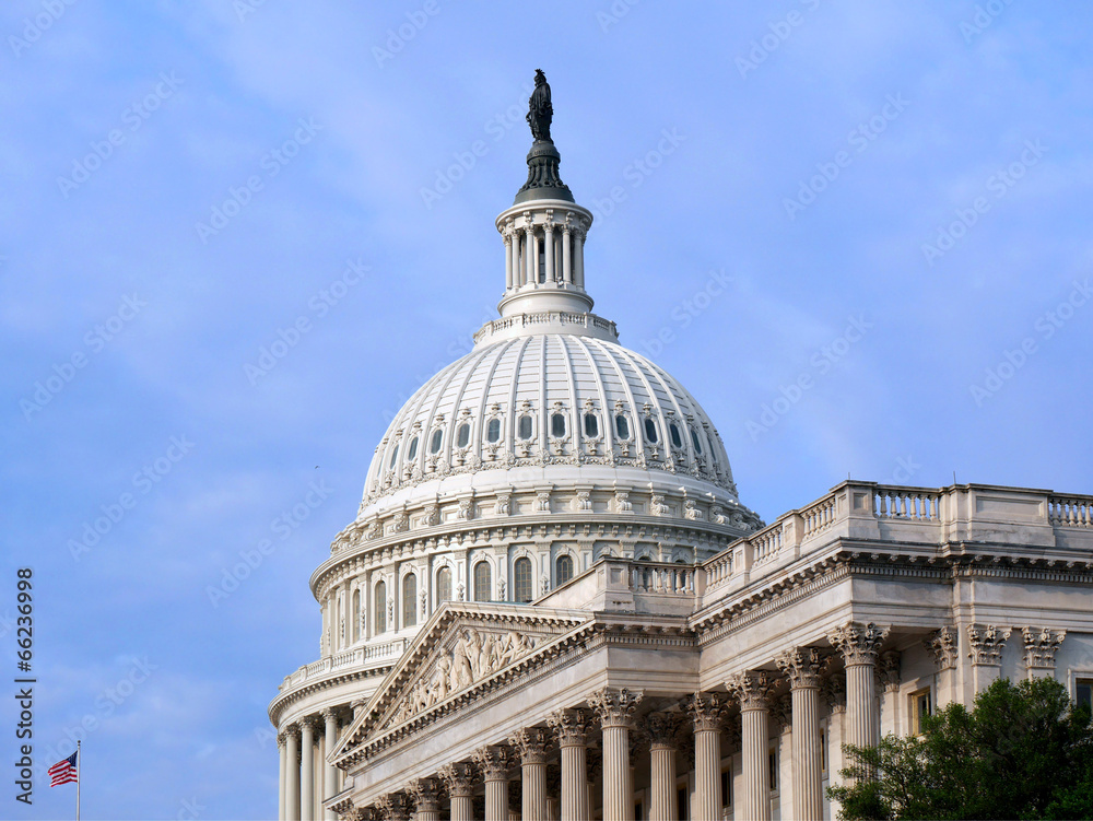 Obraz premium Dome of the US Capitol building, Washington
