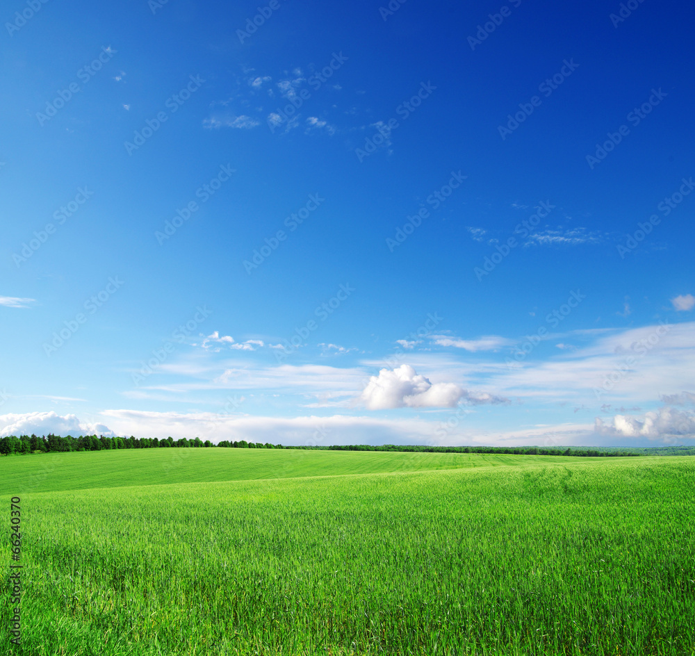 green field green field