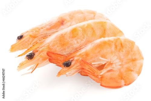 Three shrimps