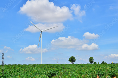 Wind Turbines in Green Fields