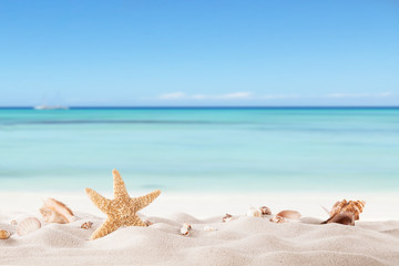 Summer beach with strafish and shells