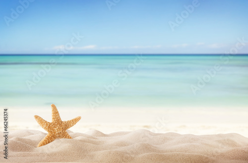 Summer beach with starfish © Jag_cz