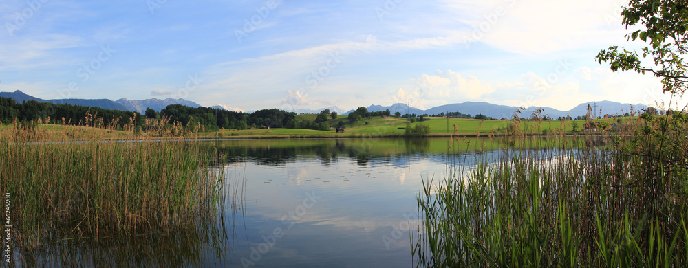 Froschhauser See Panorama