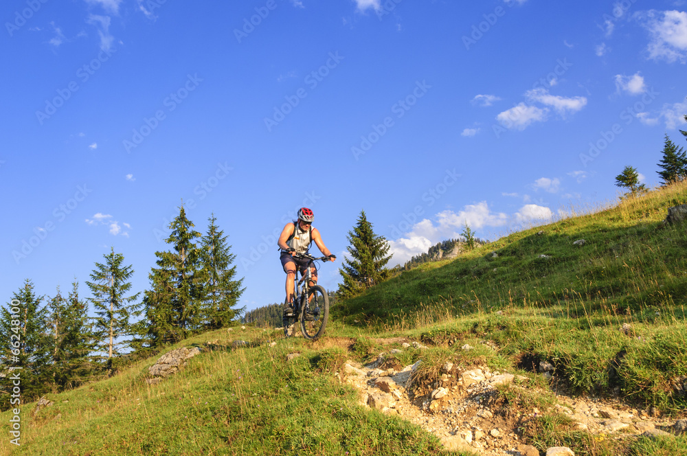 MTB-Freeride