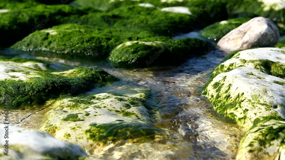 Eau de Source