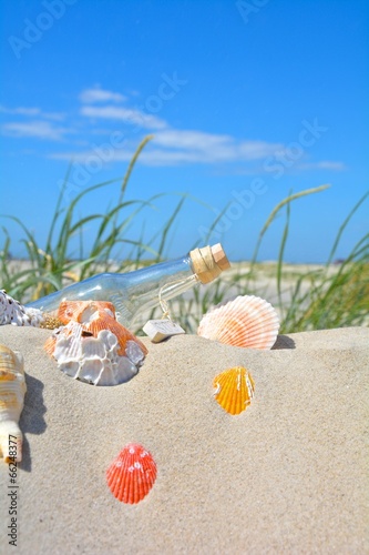 Muscheln und Flaschenpost i...