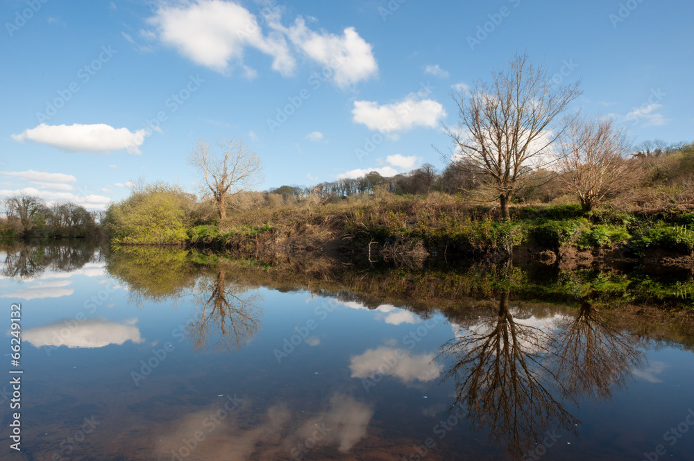 still river trees reflection