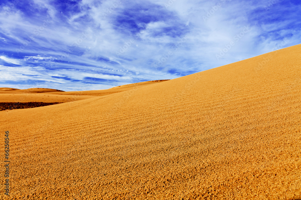 Naklejka premium Desert