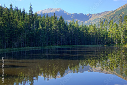 Reflection on Smreczynski lake in Koscieliska Valley, Tatras