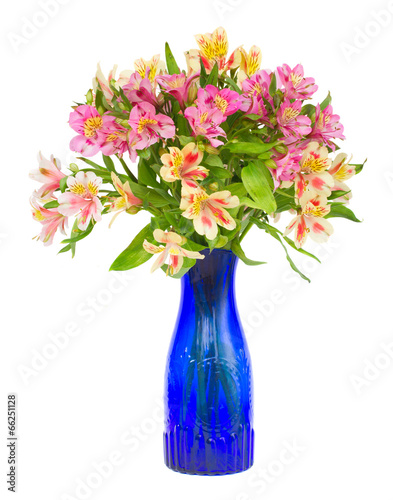 Bouquet of alstroemeria flowers