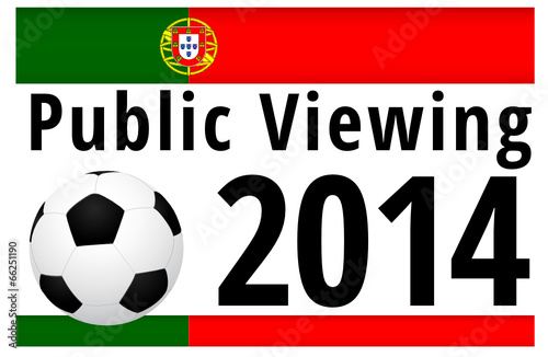 Public Viewing 2014