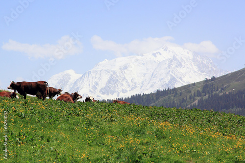 Le Mont Blanc depuis le col des Aravis