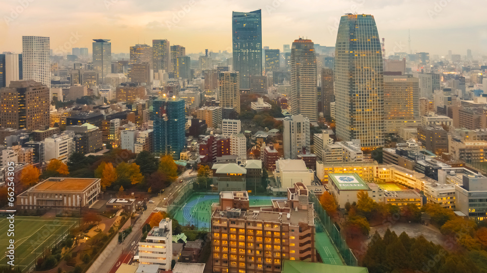 Fototapeta premium Tokyo City
