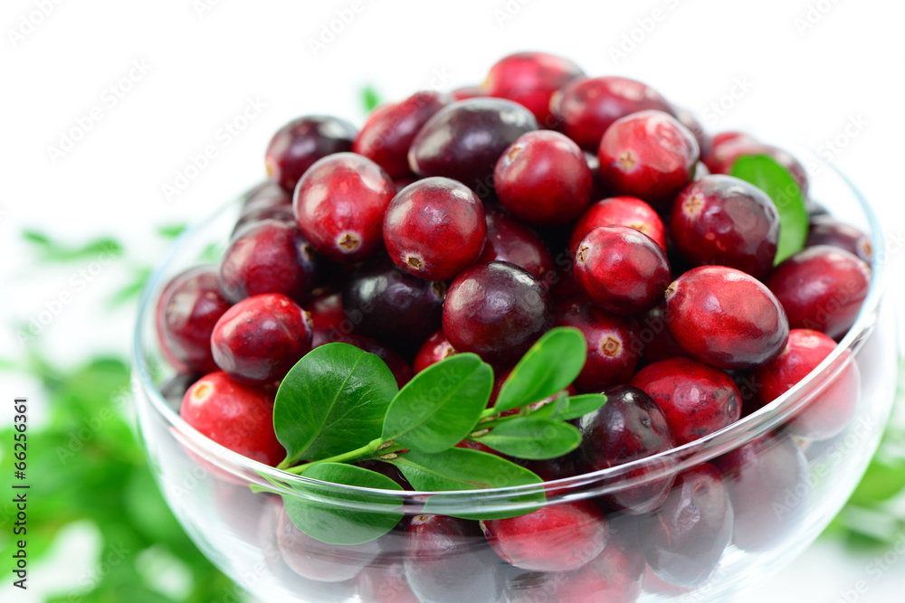 Cranberries Cranberries