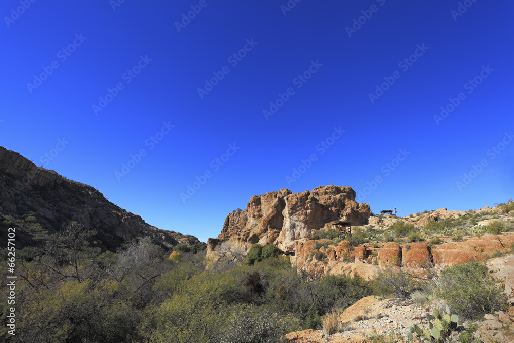 Sonoran Upland Area, AZ