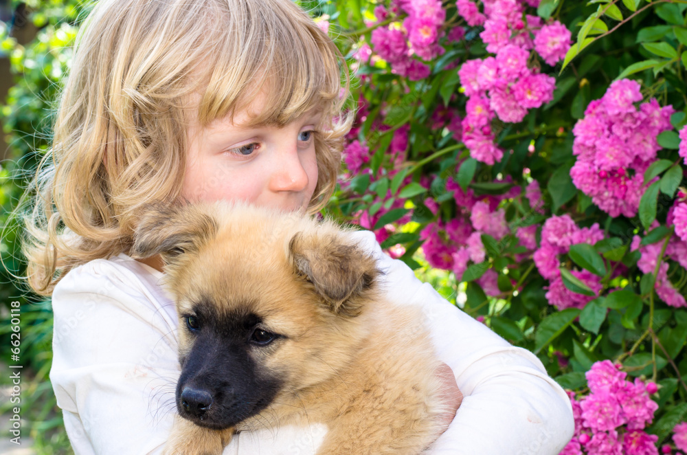 girl and dog girl and dog