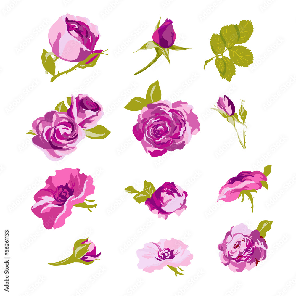 Set of floral design elements, flower collection