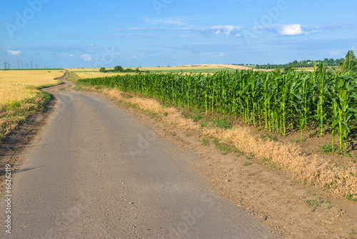 Road among field in Ukraine