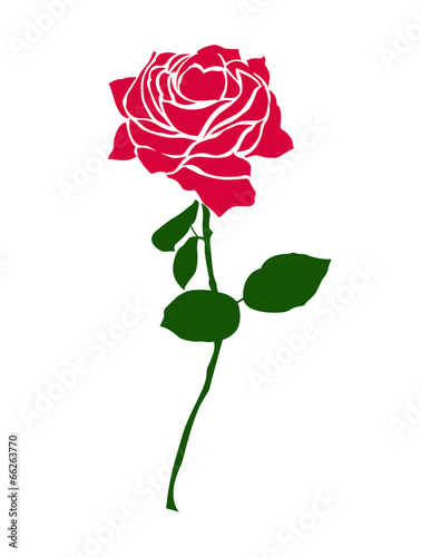 rote Rose