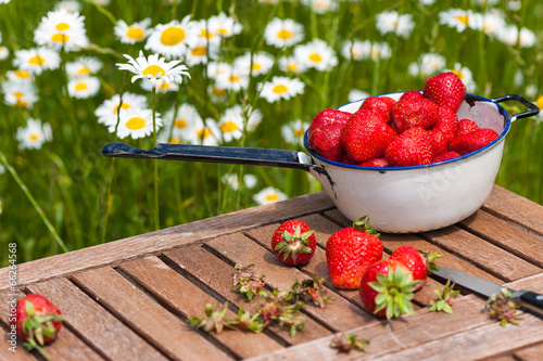 Fototapeta Naklejka Na Ścianę i Meble -  Erdbeeren frisch aus dem Garten