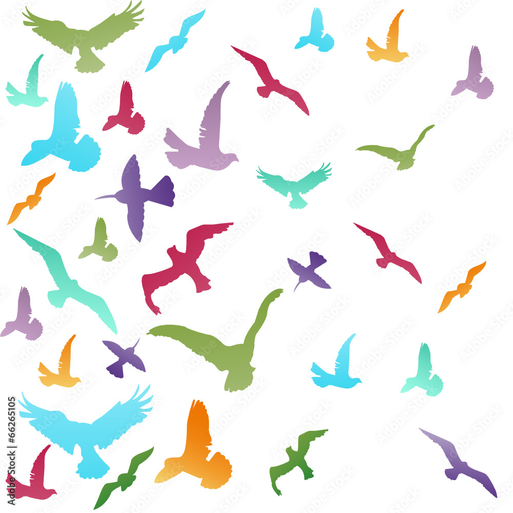 Abstract birds background Abstract birds background