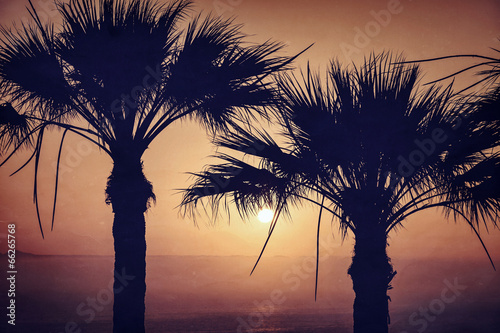 Two palm and sunset. Vintage photo
