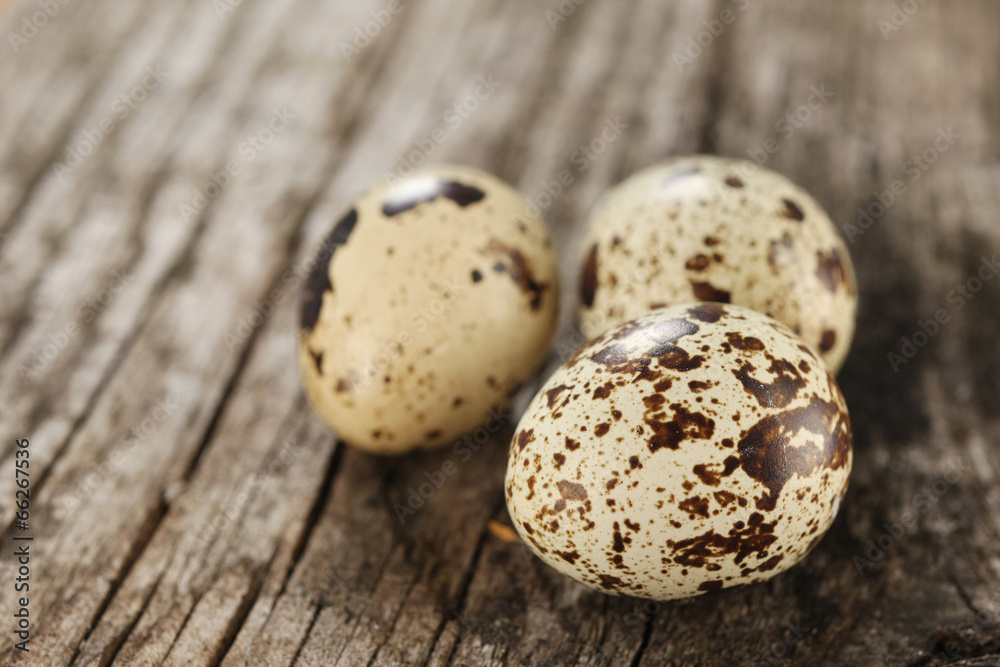 quail eggs on the background of old wooden planks quail eggs on the background of old wooden planks
