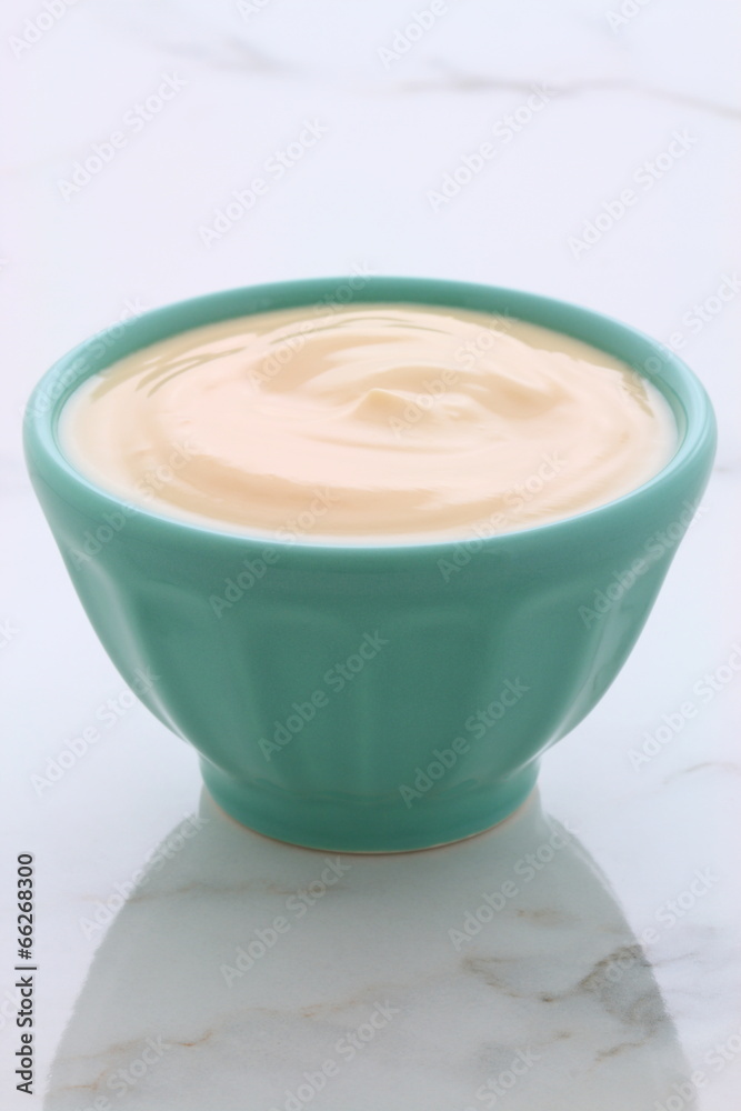 plain french style yogurt plain french style yogurt