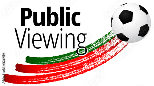 Public Viewing 2014