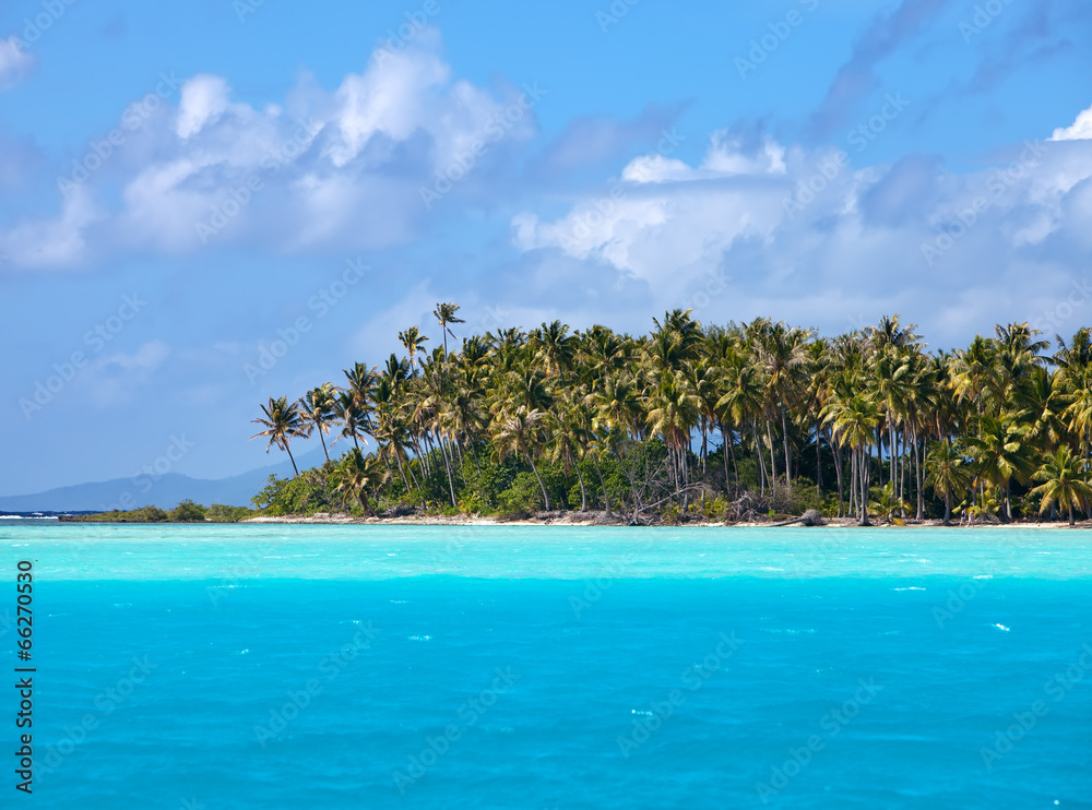 The tropical island with palm trees in the ocean