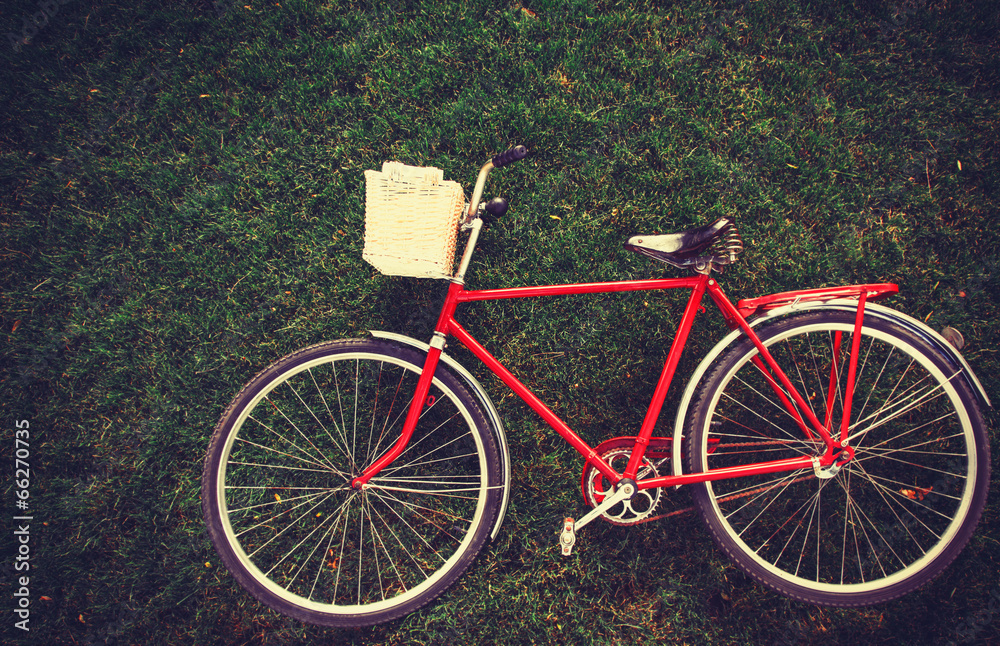 Vintage bicycle waiting on grass