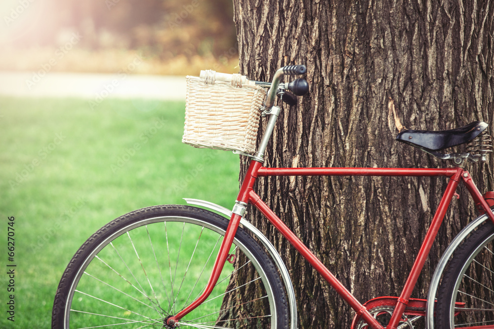 Obraz premium Vintage bicycle waiting near tree