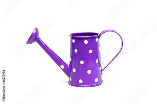 purple watering can with white spots on isolated background