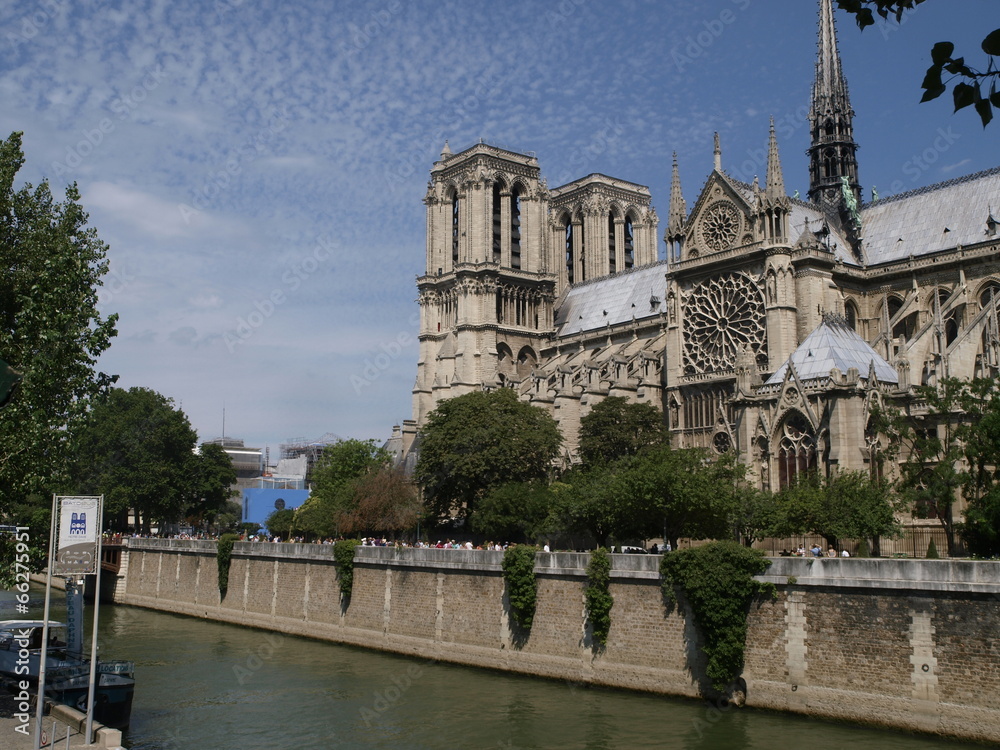 Naklejka premium Catedral de Notre Dame en París