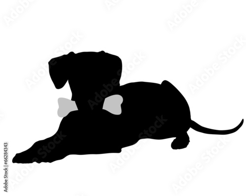 Hund mit Knochen