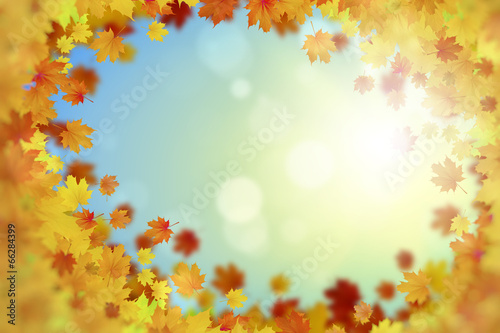 Autumn background