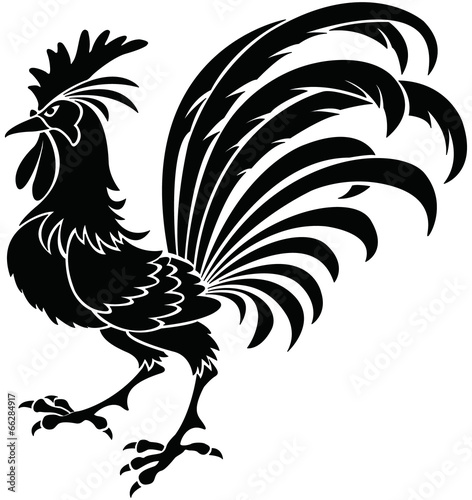 Chiken