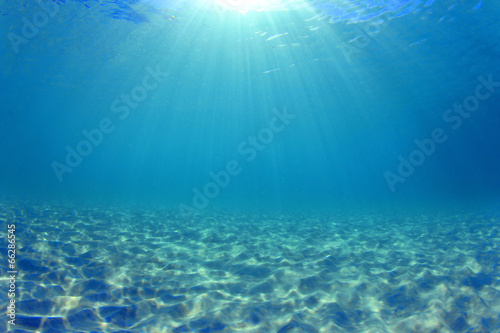 Stampa su tela Underwater background - sunlight on ocean floor